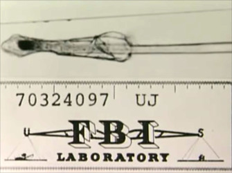 MUM AND HER TWO DAUGHTERS MURDERED BY ANGRY NEPHEW