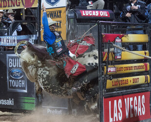 PBR s Last Cowboy Standing