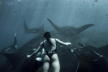 MEET THE REAL LIFE MERMAID WHO HOLDS HER BREATH FOR FOUR AND A HALF MINUTES TO SWIM IN THE DEEP WITH INCREDIBLE SEA CREATURES AND WRECKAGES