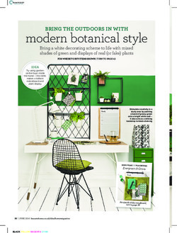 Modern botanical style