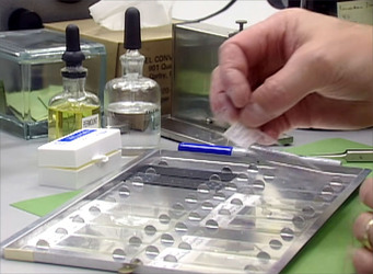 MUM AND HER TWO DAUGHTERS MURDERED BY ANGRY NEPHEW