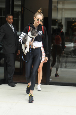 Gigi Hadid shows off her adorable French Bulldog and heads to the park