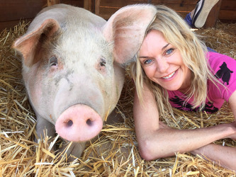 Pigcasso The Painting Pig