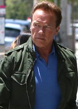 Arnold Schwarzenegger was spotted while out and about in Brentwood.