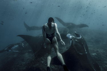 MEET THE REAL LIFE MERMAID WHO HOLDS HER BREATH FOR FOUR AND A HALF MINUTES TO SWIM IN THE DEEP WITH INCREDIBLE SEA CREATURES AND WRECKAGES