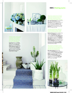 Displaying house plants 2 