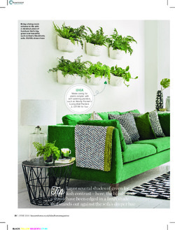 Modern botanical style