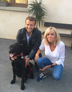 France gets First Dog Macron adopts labrador mix Nemo