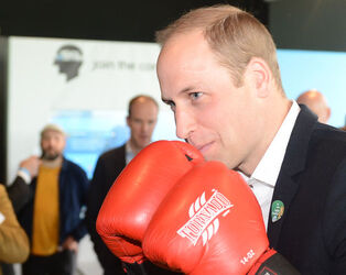 Duke and Duchess of Cambridge Prince Harry learn to box at Olympic Park Duke and Duchess of Cambridge Prince Harry learn to box at Olympic Park