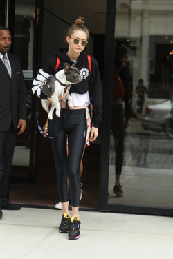 Gigi Hadid shows off her adorable French Bulldog and heads to the park