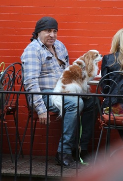 Steven Van Zandt has lunch in the West Village With his Dog