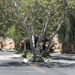 Media Arrives To The Scene As Jake Paul s Calabasas Mansion Raided By FBI