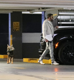 Ben Affleck Keeps Busy Amid House Hunt Arrives At Hollywood Office With Guard Dog Ben Affleck Keeps Busy Amid House Hunt Arrives At Hollywood Office With Guard Dog