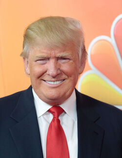 Things that look like Donald Trump