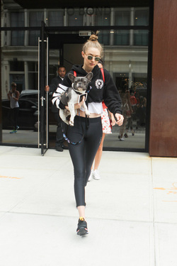 Gigi Hadid shows off her adorable French Bulldog and heads to the park