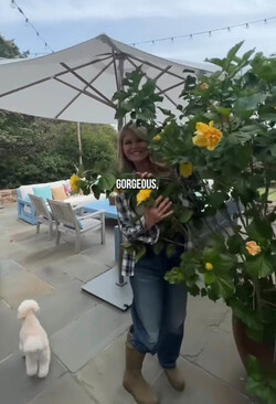 Christie Brinkley gave a tour of her 30 million Hamptons NY mansion to influencer Caleb Simpson.