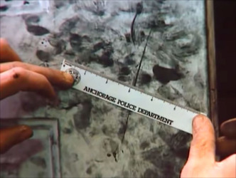 MUM AND HER TWO DAUGHTERS MURDERED BY ANGRY NEPHEW