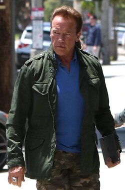 Arnold Schwarzenegger was spotted while out and about in Brentwood.