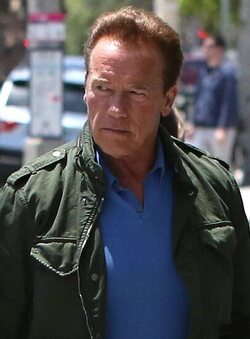 Arnold Schwarzenegger was spotted while out and about in Brentwood.