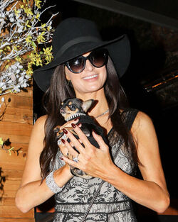 Paris Hilton shows off dramatic new brunette hairstyle and engagement ring as she heads on a shopping trip with her dog Paris Hilton shows off dramatic new brunette hairstyle and engagement ring as she heads on a shopping trip with her dog