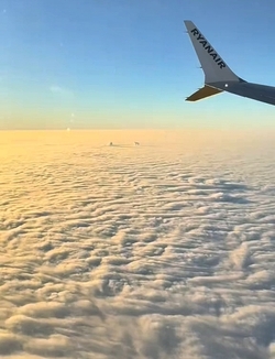 VIDEO Plane passenger spots DOG playing with ball in the clouds