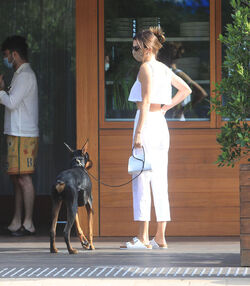 Kendall Jenner Angelic In White As She Brings Her Doberman Along To Dinner At Soho