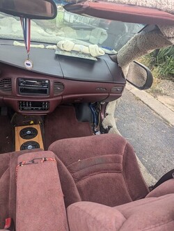 Dumb and Dumber Dog Buick for Sale