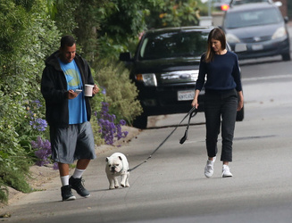 Adam Sandler walking his cute puppy Adam Sandler walking his cute puppy