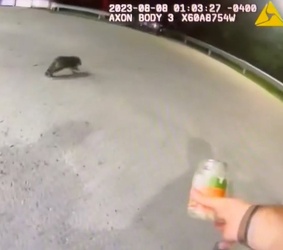 VIDEO Raccoon with jar on its head saved by police VIDEO Raccoon with jar on its head saved by police