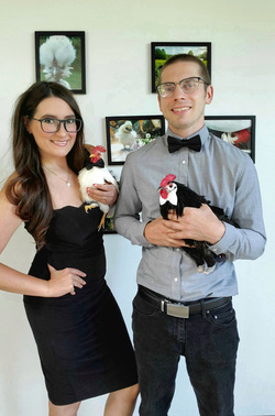 WHAT AN EGGCITING LIFE RESCUE CHICKENS SAVED FROM DEATH BY ANIMAL LOVER NOW LIVE LIKE PAMPERED PET DOGS IN LUXURY FARMHOUSE