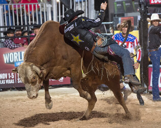 PBR s Last Cowboy Standing