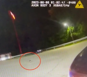 VIDEO Raccoon with jar on its head saved by police VIDEO Raccoon with jar on its head saved by police