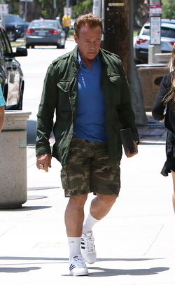 Arnold Schwarzenegger was spotted while out and about in Brentwood.