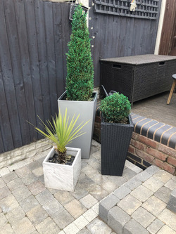 GENIUS MUM USES GREEN SPRAY PAINT TO BRING HER DEAD PLANTS BACK TO LIFE