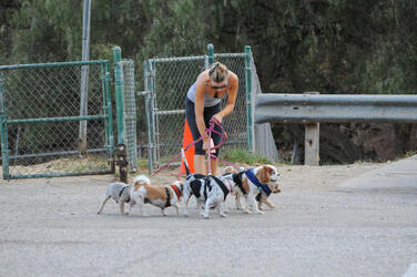 Joanna Krupa is seen leaving the dog park in LA.