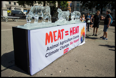 PETA Ice Sculptures