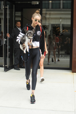 Gigi Hadid shows off her adorable French Bulldog and heads to the park