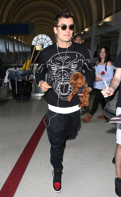 Orlando Bloom returned to Los Angeles carrying his puppy and signing autographs on his way to his waiting vehicle.