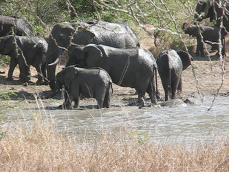 Inside X Factor star Saara Aaltohas birthday bash Inside X Factor star Saara Aaltohas birthday bash