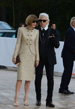 Vogue Editor Anna Wintour has been wearing the same Manolo Blahnik shoes since 1994 Vogue Editor Anna Wintour has been wearing the same Manolo Blahnik shoes since 1994