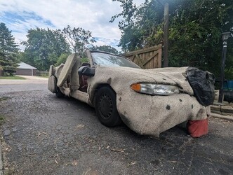 Dumb and Dumber Dog Buick for Sale