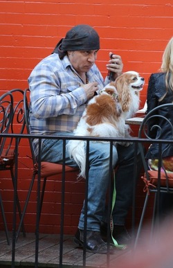 Steven Van Zandt has lunch in the West Village With his Dog