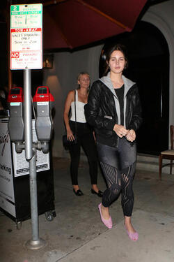 Lana Del Rey dines with friends at Craig s