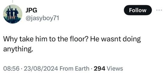 VIDEO Moment undercover cops wrestle suspect to ground with the help of London citizens