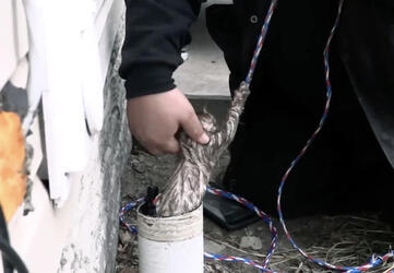 INCREDIBLE MOMENT THREE ADORABLE KITTENS ARE RESCUED FROM COLD DARK DRAINPIPE INCREDIBLE MOMENT THREE ADORABLE KITTENS ARE RESCUED FROM COLD DARK DRAINPIPE