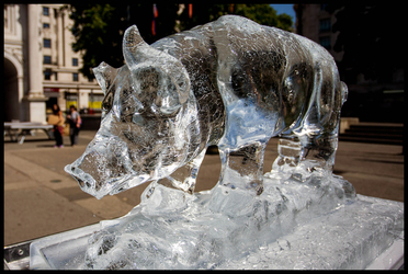 PETA Ice Sculptures