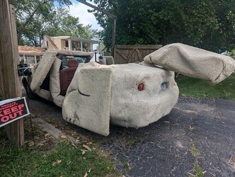 Dumb and Dumber Dog Buick for Sale