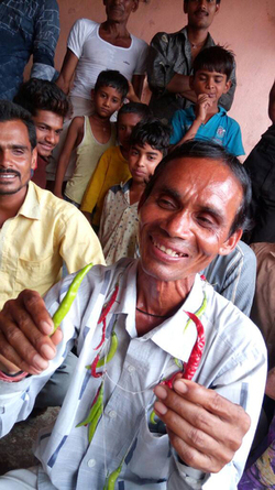 INCREDIBLE APPETITE INDIAN MAN EATS 2.9KG OF CHILLIES EVERY DAY INCREDIBLE APPETITE INDIAN MAN EATS 2.9KG OF CHILLIES EVERY DAY