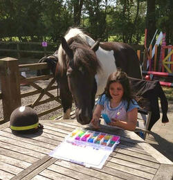 A horse has been left permanently disfigured after sick yobs restrained stabbed and attacked him with knives and hammers in broad daylight A horse has been left permanently disfigured after sick yobs restrained stabbed and attacked him with knives and hammers in broad daylight