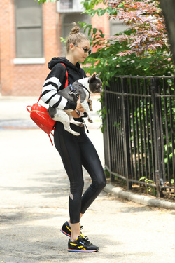 Gigi Hadid shows off her adorable French Bulldog and heads to the park